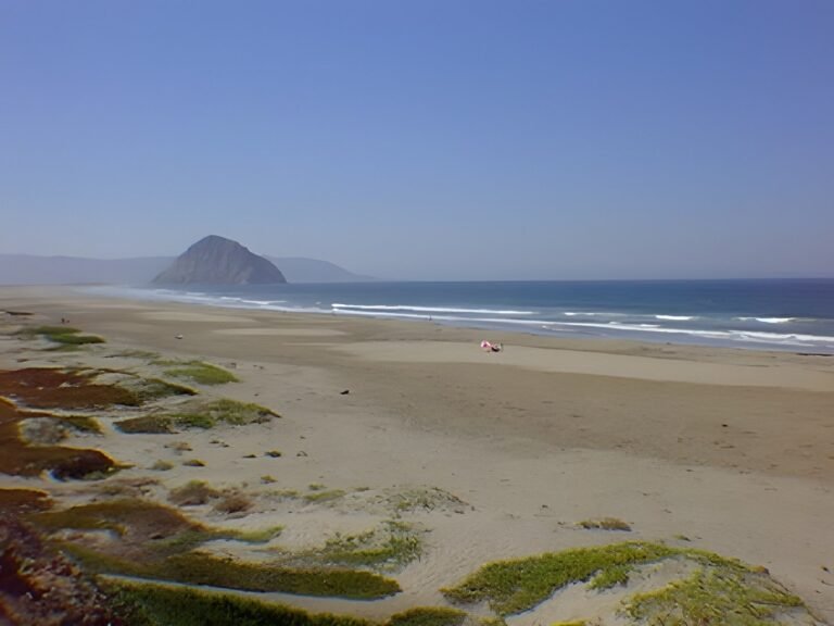 Cambria and Cayucos, 1996 — photo 15