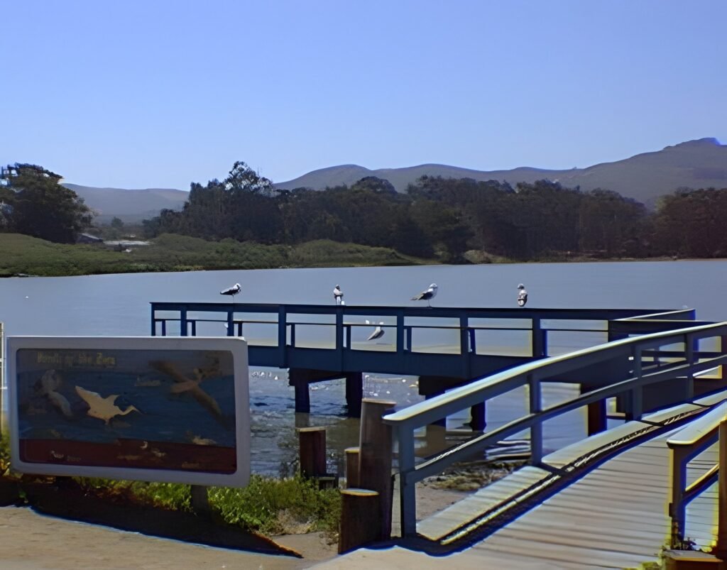Los Osos and Montaña de Oro, 1996 — photo 2