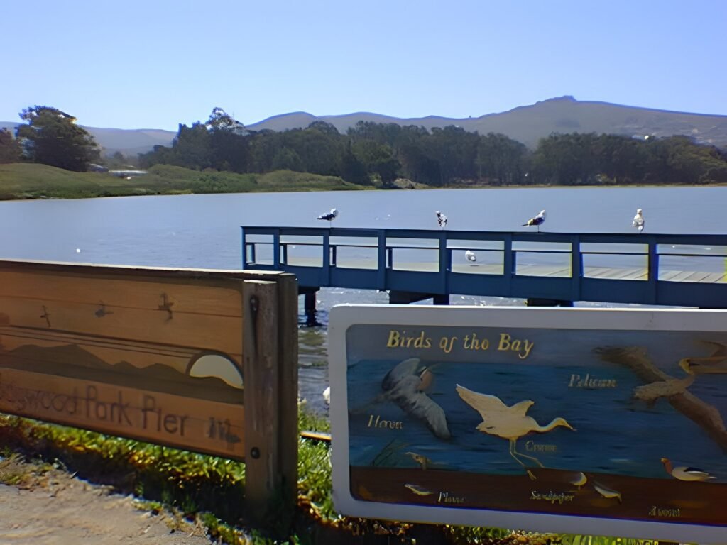 Los Osos and Montaña de Oro, 1996 — photo 3