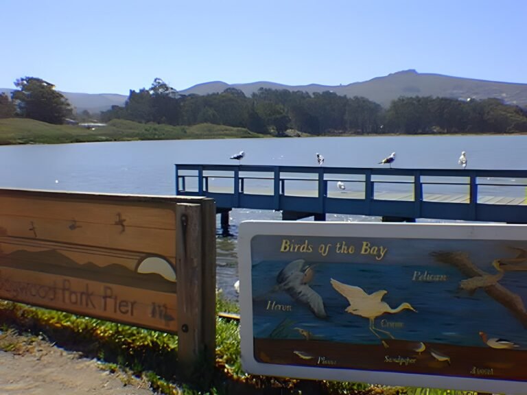 Los Osos and Montaña de Oro, 1996 — photo 3