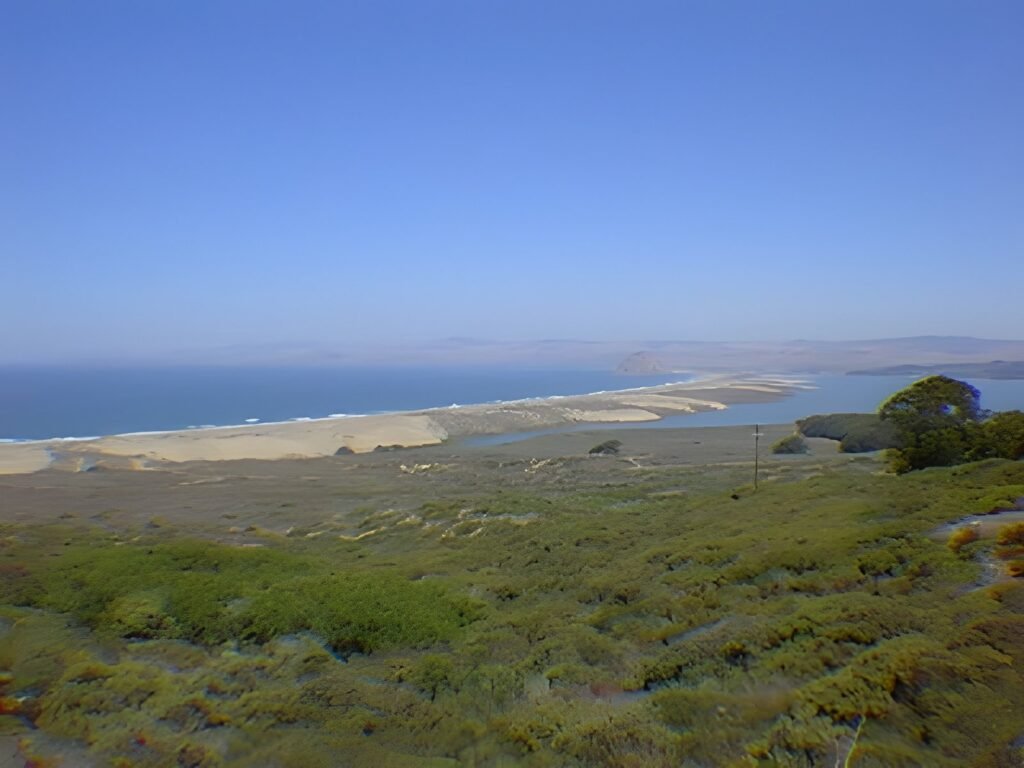 Los Osos and Montaña de Oro, 1996 — photo 5