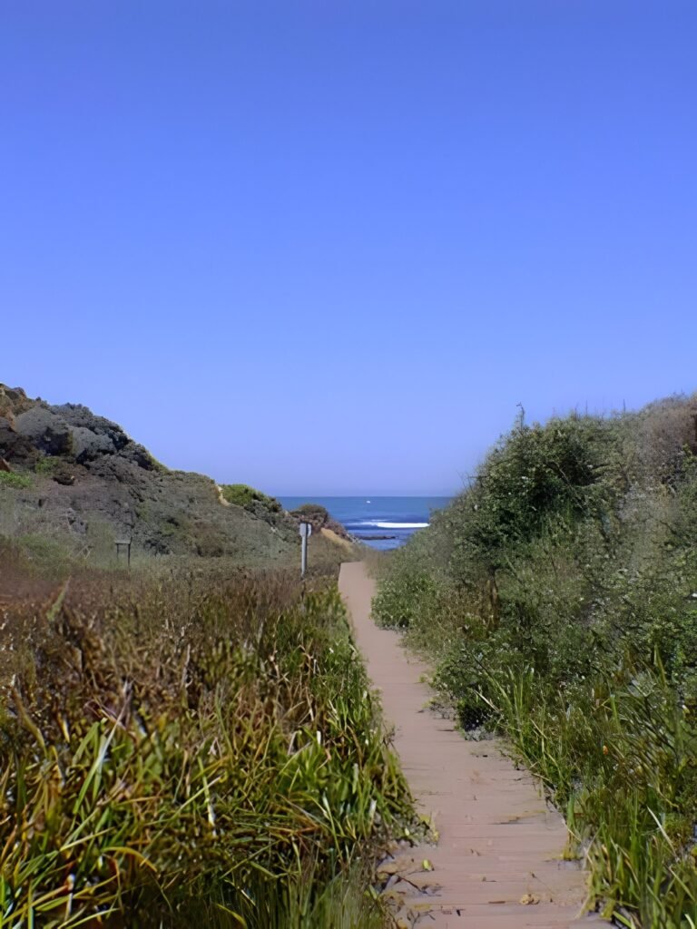 Los Osos and Montaña de Oro, 1996 — photo 8
