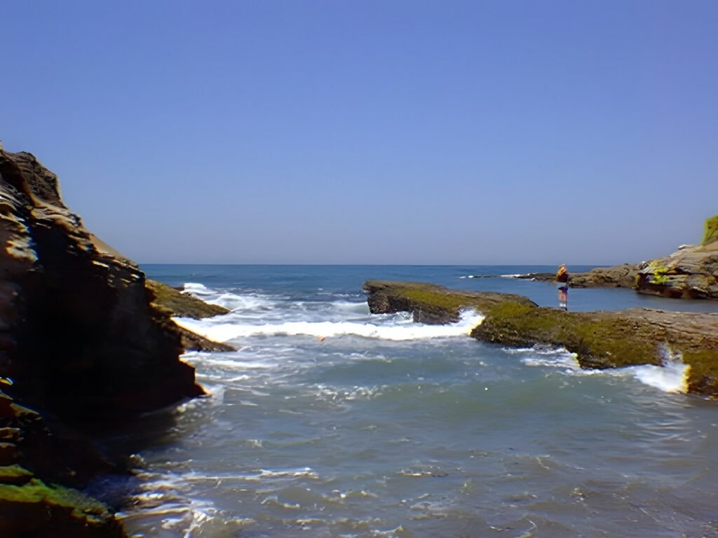 Los Osos and Montaña de Oro, 1996 — photo 9