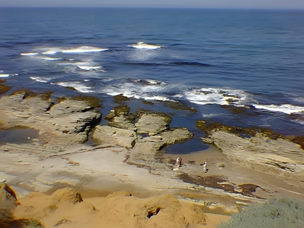 Los Osos and Montaña de Oro, 1996 — photo 12