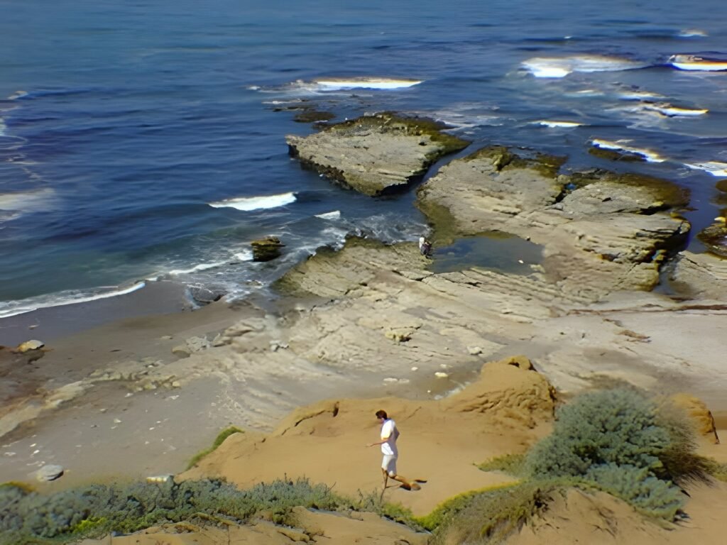 Los Osos and Montaña de Oro, 1996 — photo 13