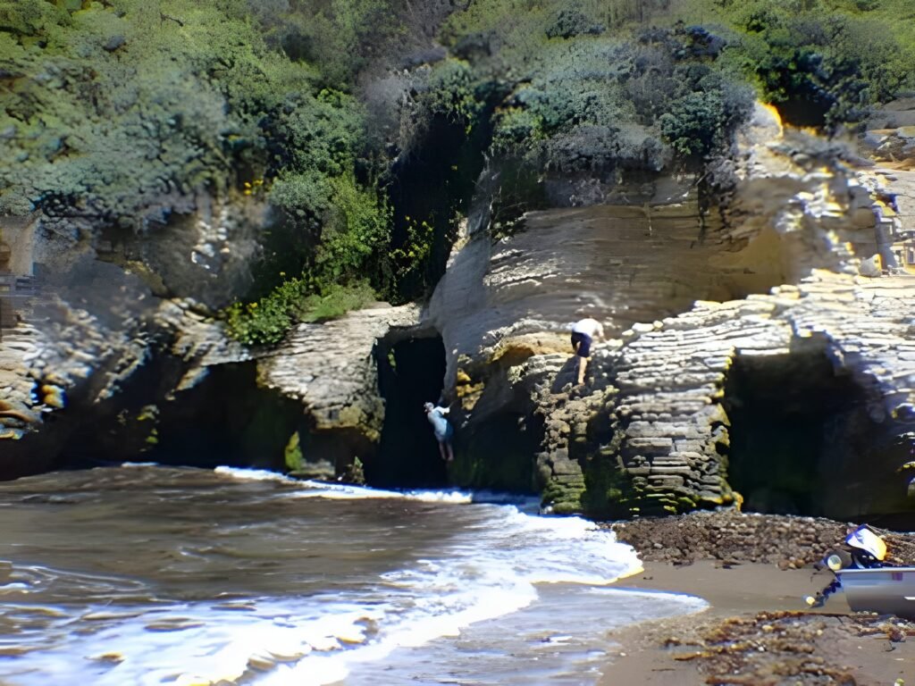 Los Osos and Montaña de Oro, 1996 — photo 16